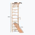 Scară de gimnastică RINAGYM SPR A+SLIDE 3