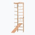 Scară de gimnastică RINAGYM SPR B+SLIDE 3