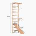 Scară de gimnastică RINAGYM SPR B+SLIDE 10