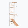 Scară de gimnastică RINAGYM SPR B+SLIDE