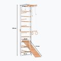 Scară de gimnastică RINAGYM SPR B+SLIDE 2