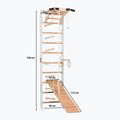 Scară de gimnastică RINAGYM SPR A+SLIDE 2