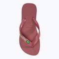 Șlapi Havaianas Brasil Logo pau brasil 5