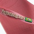 Șlapi Havaianas Brasil Logo pau brasil 12