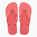 Papuci Havaianas Brasil Logo tropical coral 4
