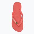 Papuci Havaianas Brasil Logo tropical coral 5