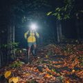 Jachetă pentru bărbați Black Diamond Dawn Patrol galbenă APP1SD2007LRG1 9