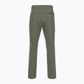 Pantaloni de trekking pentru bărbați Black Diamond Technician Technician Verde alpin AP751105 4