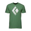 Tricou de alpinism pentru bărbați Black Diamond Chalked Up verde APUO95303050LRG1 4