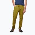 Pantaloni de alpinism pentru bărbați Black Diamond Notion verde deschis AP750060303039SML1