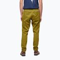 Pantaloni de alpinism pentru bărbați Black Diamond Notion verde deschis AP750060303039SML1 2