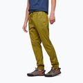 Pantaloni de alpinism pentru bărbați Black Diamond Notion verde deschis AP750060303039SML1 3