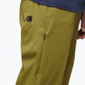 Pantaloni de alpinism pentru bărbați Black Diamond Notion verde deschis AP750060303039SML1 6