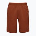 Pantaloni scurți pentru bărbați Black Diamond Sierra burnt sienna 4