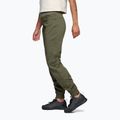 Pantaloni de alpinism pentru femei Black Diamond Notion Sp Pants tundra 2