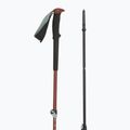 Bețe de trekking Black Diamond Trail Trekking iron red 3