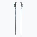 Bețe de trekking Black Diamond Distance Carbon Flz desert sky