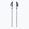 Bețe de trekking Black Diamond Distance Carbon Flz desert sky 5