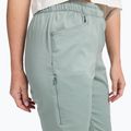 Pantaloni de trekking pentru femei Black Diamond Notion agave 4