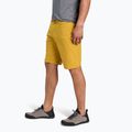 Pantaloni scurți pentru bărbați Black Diamond Valley amber 3