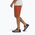 Pantaloni scurți pentru bărbați Black Diamond Valley burnt sienna 2