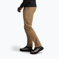 Pantaloni de trekking pentru bărbați Black Diamond Alpine Light mushroom 2
