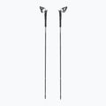 Bețe de trekking Black Diamond Distance Carbon FKT black