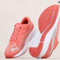 PUMA Aviator Aviator Profoam Sky 12 pantofi de alergare roz 376615 12 15