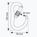 Carabinier de escaladă CAMP Atom Lock blue 3