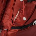 Rucsac turistic Ferrino Transalp 75 roșu 75694MRR 6