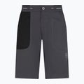 La Sportiva Ecstatic gri, pantaloni scurți de alpinism pentru bărbați N64900999 5