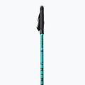 Bețe de mers Masters Pole Training Nordic, negru, 01N0620 2