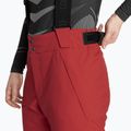 Pantaloni de schi pentru bărbați Colmar Sapporo-Rec english red 4