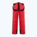 Pantaloni de schi pentru bărbați Colmar Sapporo-Rec english red 2