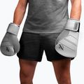 Mănuși de box  Hayabusa S4 Leather white 14
