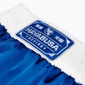 Pantaloni scurți de antrenament Hayabusa Pro Boxing blue 5