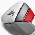 Mănuși de box  Hayabusa T3 white/red 5
