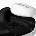Mănuși de box Hayabusa E1 Boxing white/silver 3