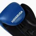 Mănuși de box Hayabusa E1 Boxing blue/black 8