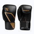 Mănuși de box Hayabusa E1 Boxing black/gold