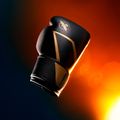 Mănuși de box Hayabusa E1 Boxing black/gold 8