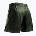 Pantaloni scurți de antrenament pentru bărbați Hayabusa Apex Fight 3/4 green 2