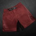 Pantaloni scurți de antrenament pentru bărbați Hayabusa Apex Fight 3/4 red 3