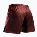 Pantaloni scurți de antrenament pentru bărbați Hayabusa Core Fight Mid red 2