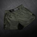 Pantaloni scurți de antrenament pentru bărbați Hayabusa Apex Fight Mid green 3