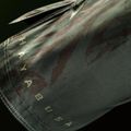 Pantaloni scurți de antrenament pentru bărbați Hayabusa Apex Fight Mid green 7