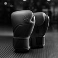 Mănuși de box Hayabusa E1 Leather black 2