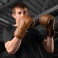 Mănuși de box Hayabusa E1 Leather brown 7