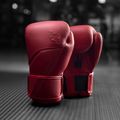 Mănuși de box Hayabusa E1 Leather red 5