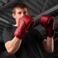 Mănuși de box Hayabusa E1 Leather red 6
